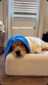 Instagram post by @wally.meets.world