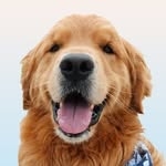 @wally.meets.world Instagram Profile