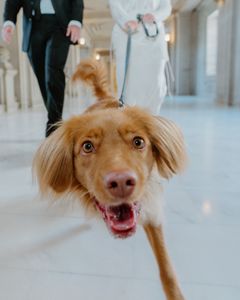 Instagram post by @jasmin.schuler.photo