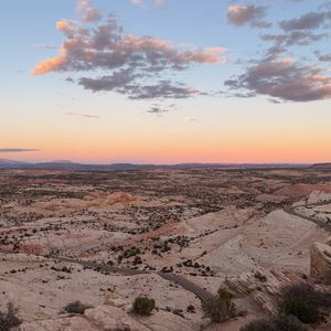 Instagram post by @honeysucklehandmadestudio