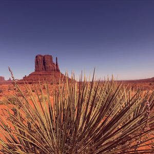 Instagram post by @honeysucklehandmadestudio