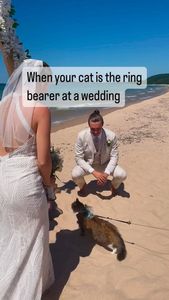 Instagram post by @bestadventurecat