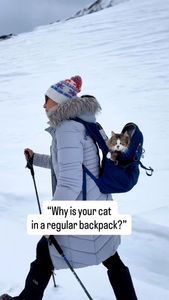 Instagram post by @bestadventurecat