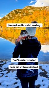 Instagram post by @bestadventurecat