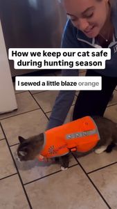 Instagram post by @bestadventurecat