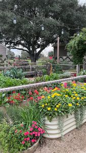 Instagram post by @southernhomeandfarm