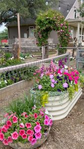 Instagram post by @southernhomeandfarm