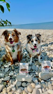 Instagram post by @essie.aspen