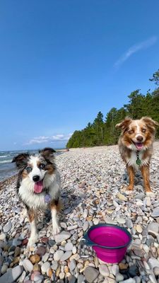 Instagram post by @essie.aspen