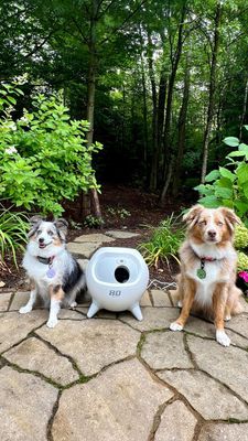 Instagram post by @essie.aspen