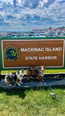 Instagram post by @essie.aspen