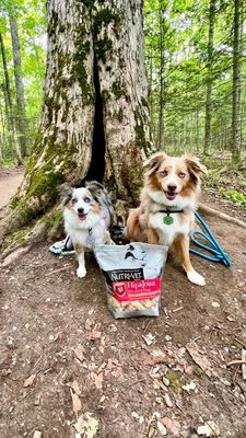 Instagram post by @essie.aspen