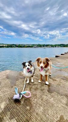 Instagram post by @essie.aspen