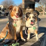 @essie.aspen Instagram Profile