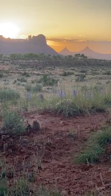 Instagram post by @mersendyclimberson