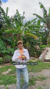 Instagram post by @cainkerner