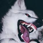 @leviborrego7 Instagram Profile