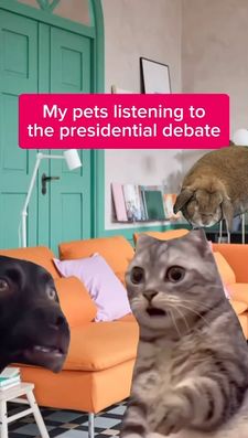 Instagram post by @adhd_over40