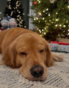 Instagram post by @monte_thegolden