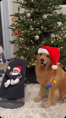 Instagram post by @monte_thegolden