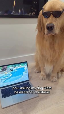 Instagram post by @monte_thegolden