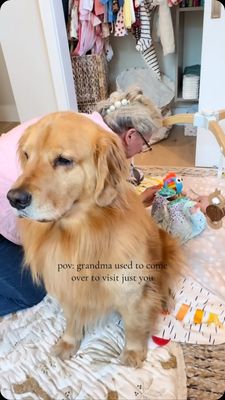 Instagram post by @monte_thegolden