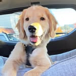 @monte_thegolden Instagram Profile
