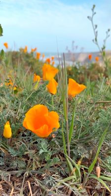 Instagram post by @lettuce.drive