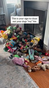 Instagram post by @milliethecitydood