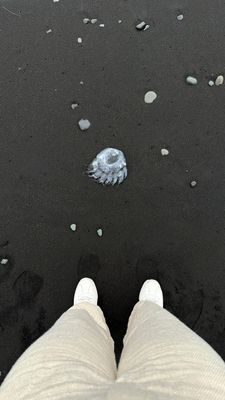 Instagram post by @rupalisrajput