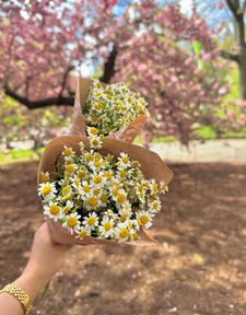 Instagram post by @rupalisrajput