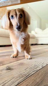 Instagram post by @hanmade.details