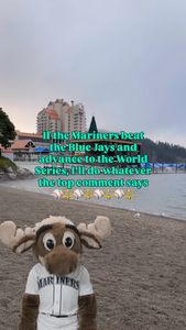 Instagram post by @thrillofthechase208