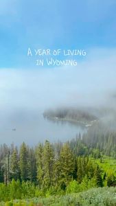 Instagram post by @fine__crew