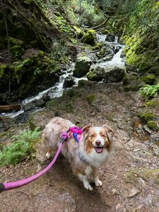 Instagram post by @mochatheaussie