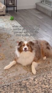 Instagram post by @mochatheaussie