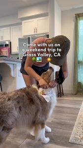 Instagram post by @mochatheaussie