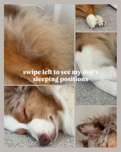 Instagram post by @mochatheaussie