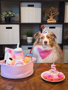 Instagram post by @mochatheaussie