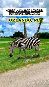 Instagram post by @thefloridaplayground