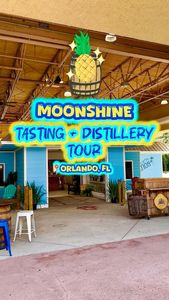 Instagram post by @thefloridaplayground