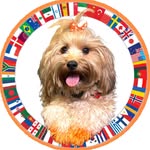 @funkymoet Instagram Profile