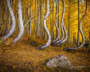 Instagram post by @graham_holmes_photography