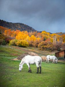 Instagram post by @graham_holmes_photography