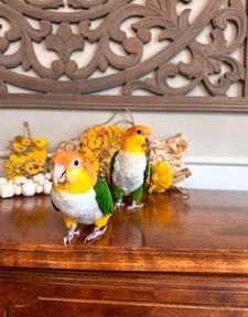 Instagram post by @pippa_and_petrie