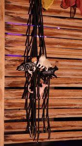 Instagram post by @abstruselike