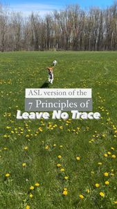 Instagram post by @pinesandpeaks_