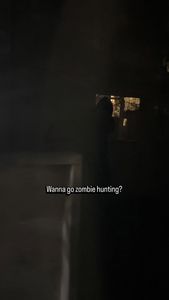 Instagram post by @adventurewithhongie