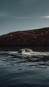 Instagram post by @spiritroamer