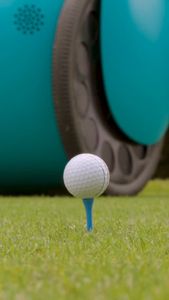 Instagram post by @mg1nyard